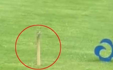 Golf deliğinden çıkan hayrete düşürdü! Gördüğüne inanamadı