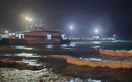 Deniz ulaşımına fırtına engeli. BUDO'nun bazı seferleri iptal edildi