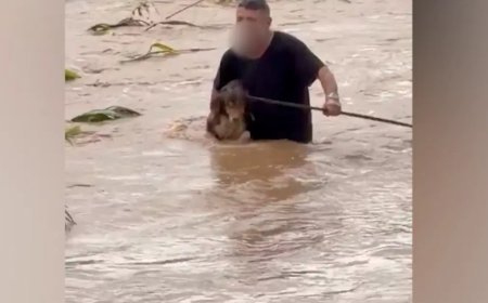 Sel sularında canını hiçe saydı: Köpekleri böyle kurtardı