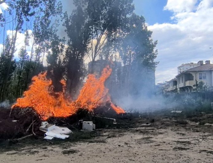 Çorlu’da çam ağaçları yangında zarar gördü