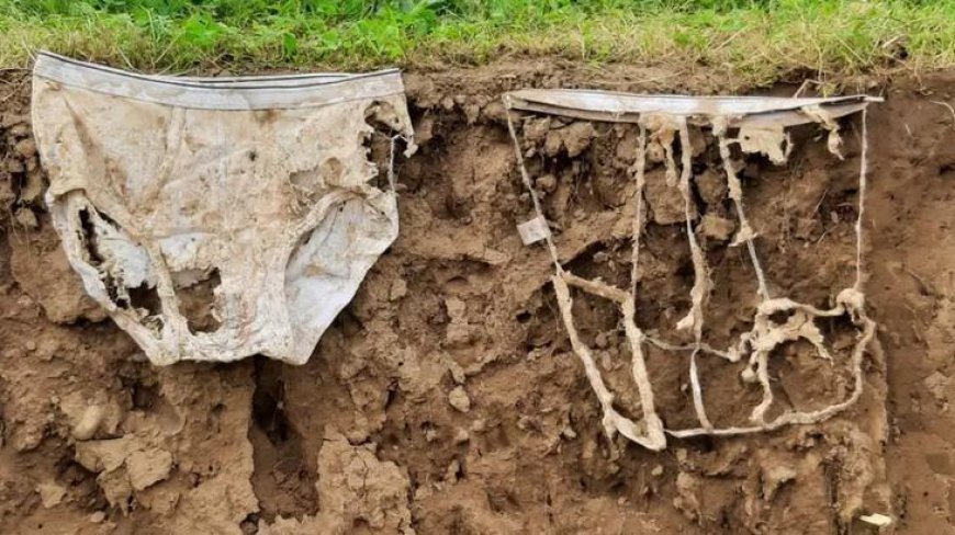 Toprağa 2 bin çift külot gömdüler! Şaşırtan neden aylar sonra ortaya çıktı