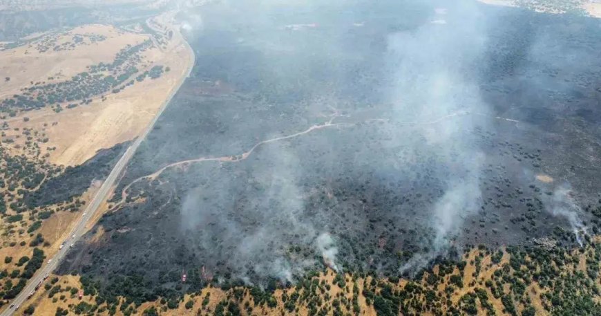 Elazığ'daki orman yangını kontrol altında