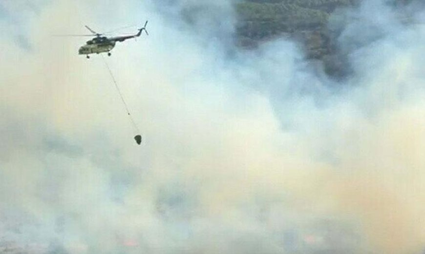 Aydın ve Antalya'da orman yangını! Alevlere havadan ve karadan müdahale