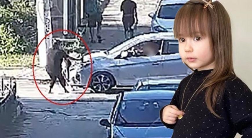 Minik Elif Mavi’nin ölümünde yeni gelişme! Sürücü yeniden gözaltında