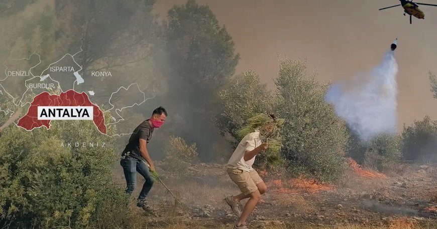 Adana, Antalya ve Mersin'de orman yangını. Alevlerle mücadele sürüyor, yüzlerce ev tahliye edildi