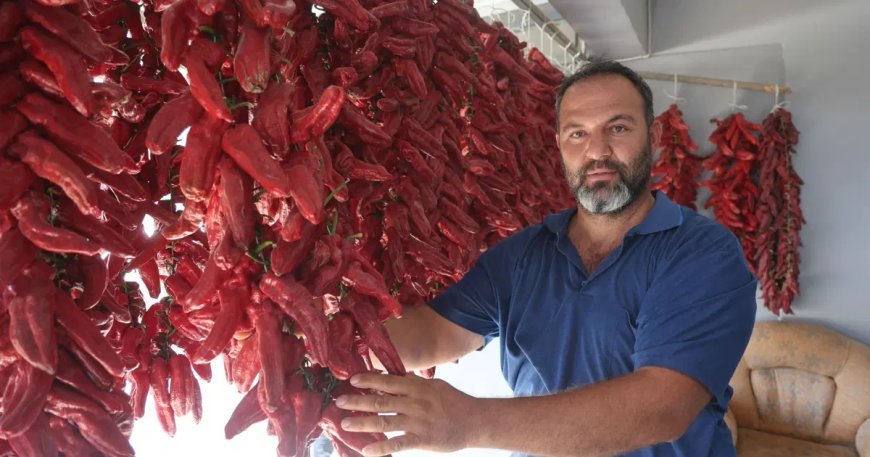 Acısı zehir gibi ama yapan paraya para demiyor. Demeti 500 TL'den alıcı buluyor