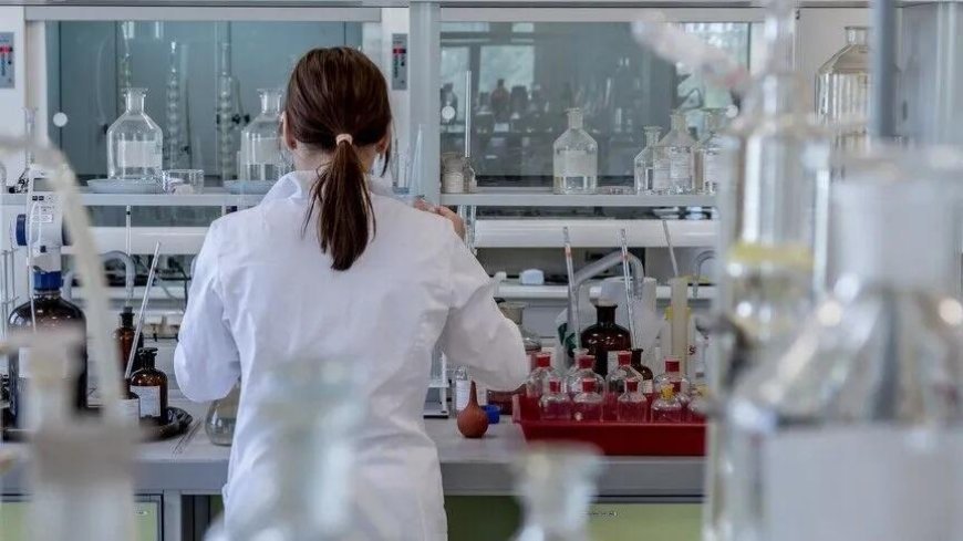 H5N1’de dikkat çeken gelişme! Avustralya’da ilk kez bir deniz aslanında tespit edildi