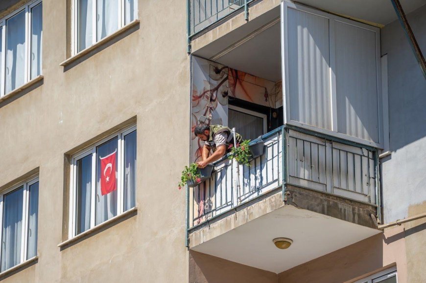 Gebze'de en güzel balkon seçilecek! Yaklaşık 800 sardunya yerleştirildi: Kazanan ödülü alacak