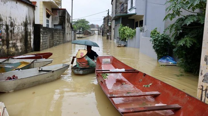 Vietnam'da sel felaketi! 2 binden fazla ev sular altında, hayvanlar telef oldu