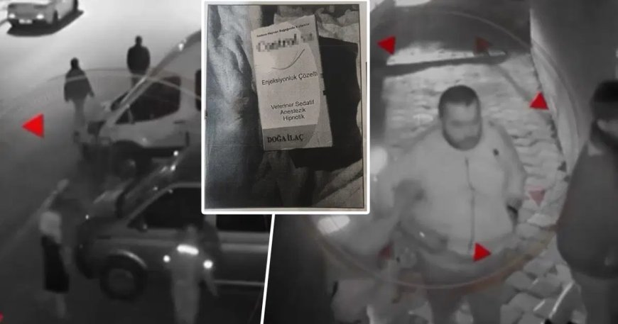 Emlak zenginini dana devirenle öldürdüler