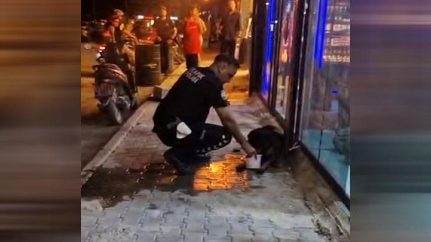 Hatay'da sokak köpeğini av tüfeğiyle yaralayan şüpheli gözaltına alındı