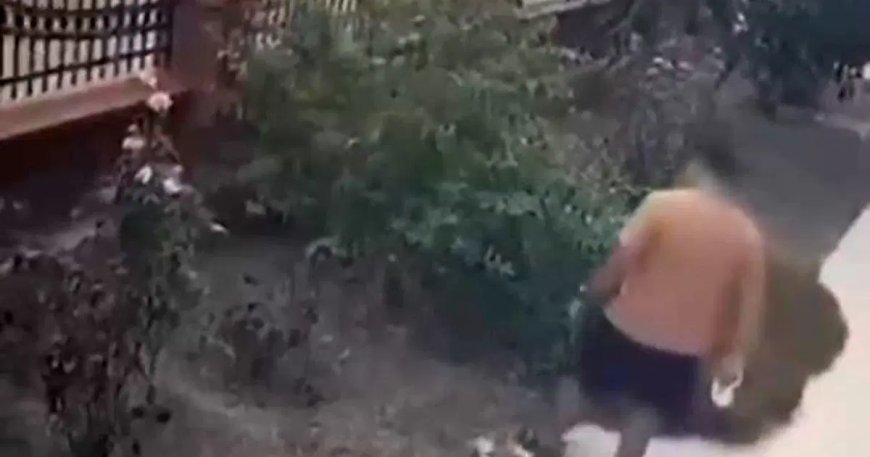 İzmir'de yavrulu kediye tekme atan saldırgan yakalandı