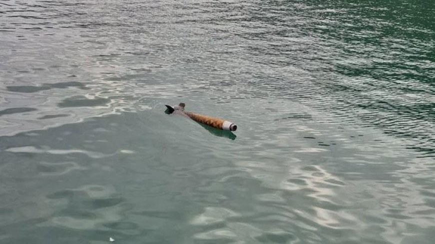Artvin'de deniz yüzeyinde roket alarmı!