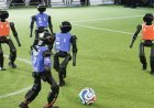 İtalya'da sıra dışı futbol: Bu sefer robotlar karşılaştı