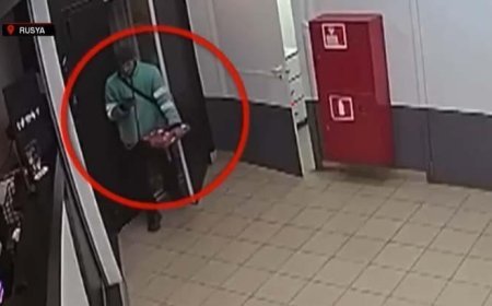Yere düşen pizzayı tekrar kutuya koydu