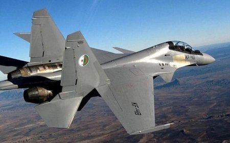 Cezayir'den flaş 'darbe' açıklaması! 'Savaş uçakları gönderdik'