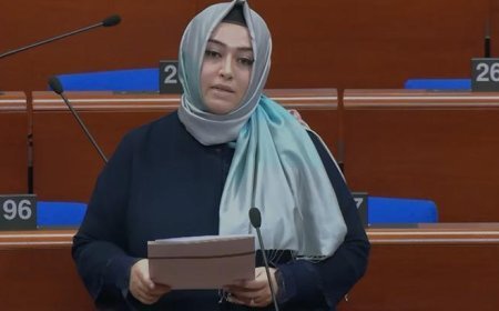 Sena Nur Çelik Kanat'tan Batı Trakya Türkleri'nin hak ihlallerine yönelik Yunanistan'a sert tepki