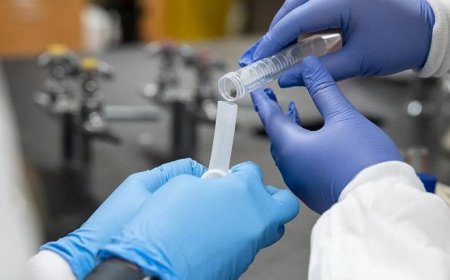 Rusya'da veba paniği! Enstitü çalışanında nedeni belirlenemeyen zatürre endişe yarattı