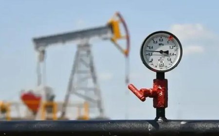 İran Petrol Bakanı Muhsin Paknejad istifa ettiğini duyurdu