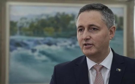 Bosna Hersek'te seçim sonuçları açıklandı
