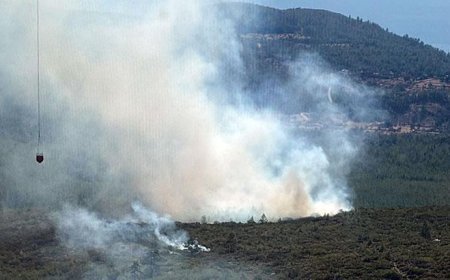 Bodrum'da orman yangını! Havadan karadan müdahale