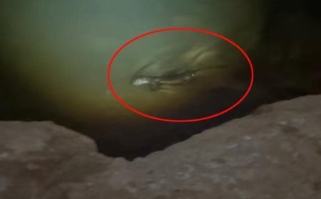 Koruma altındaki gizemli avcı kamerada! Keban Baraj Gölü'nde zifiri karanlıkta avlanırken yakalandı