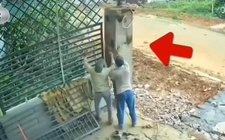 İkisi de ne yapacağını bilemedi... Beton kolondan kaçarken altında kaldı! Feci ölüm kamerada