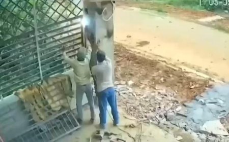 Dehşet anları kamerada! Kaçmaya çalışırken ayağı takılıp yere düştü: Dev beton kolon üzerine devrildi