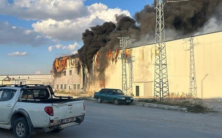 Afyonkarahisar'da korkutan yangın! Mantar tesisinden yükselen dumanlar gökyüzünü kapladı