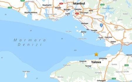 Marmara'da deprem: İstanbul'da da hissedildi. Profesör Okan Tüysüz, fayla ilgili bilgi verdi