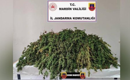 Mardin Kızıltepe’de uyuşturucu operasyonu: Tam 43 kilo ele geçirildi