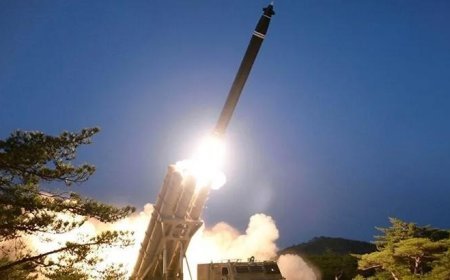 Güney Kore: Kuzey Kore, Doğu Denizi yönüne balistik füzeler fırlattı