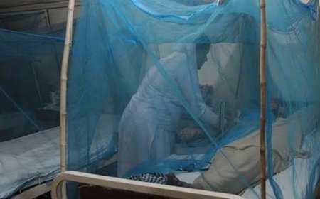 Sivrisinekle bulaşan tehlike! Bangladeş'te dang humması vakası 100 bini geçti