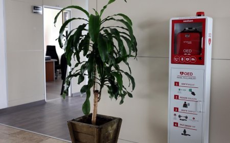 Namık Kemal Üniversitesi'nde 15 noktaya OED yerleştirildi