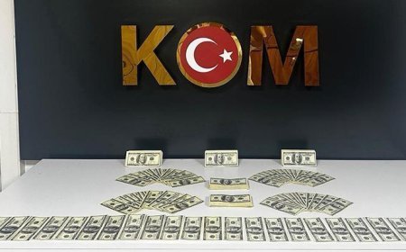 Bodrum'da 46 bin 200 sahte ABD doları ele geçirildi, 1 tutuklama