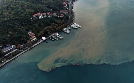 İstanbul'da yağmurun etkisiyle denizin rengi değişti