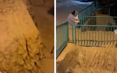 Kocaeli’de sağanak su baskınlarına neden oldu