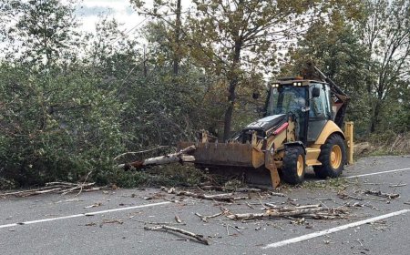 Tekirdağ'da fırtına; ağaç ve telefon direği devrildi