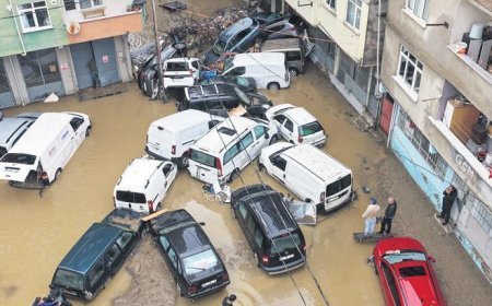 Su altında kalmamak için çözüm belli: Beton yerine sünger şehir