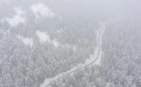 Bolu'nun yüksek kesimlerinde lapa lapa kar. Kartalkaya beyaza büründü