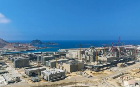 Rosatom: Akkuyu NGS'de ilk reaktör aralıkta devreye alınacak