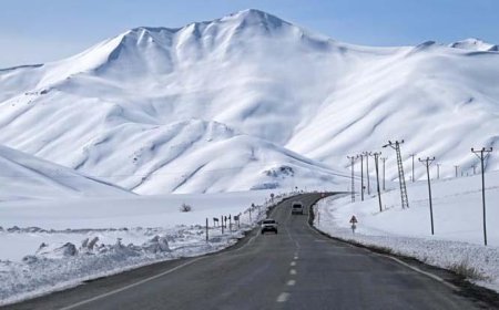 Kayak merkezinde can pazarı: Şili'de çığ sonucu 4 kişi hayatını kaybetti