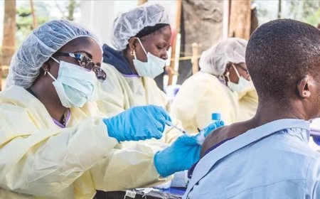 Ebola ülkede iyice yayılıyor: Sekizinci şehirde de görüldü