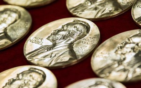 Kadınlar neden bu kadar az kazanıyor? Nobel ödüllerinde cinsiyet eşitsizliği