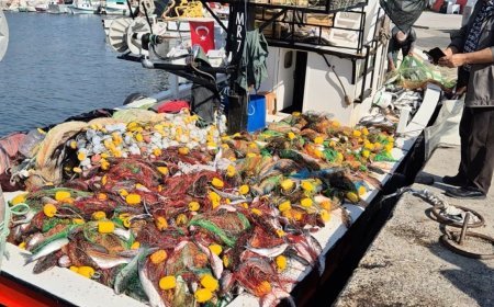Tekirdağ’da tekneyle denize açılan balıkçılar, 1,5 ton kefal avladı