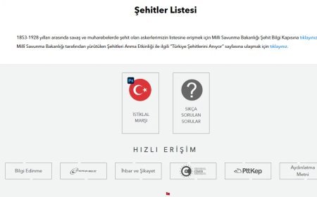 "Dedem nerede şehit oldu?": İşte MSB şehit bilgisi sorgulama ekranı