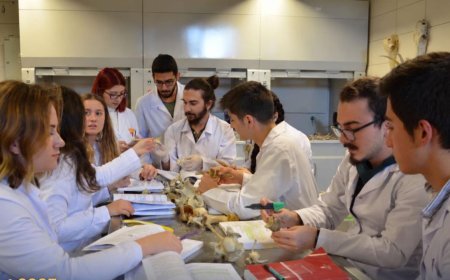'NKÜ, Trakya hayvancılığına bilimsel destek sunuyor'