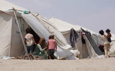 BM açıkladı: Yemen'de 268 binden fazla kişi yerinden edildi