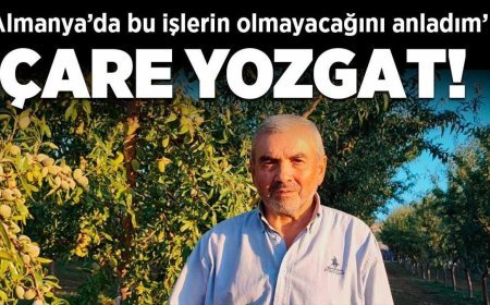 Çare Yozgat! Almanya'da bu işlerin olmayacağını anladım