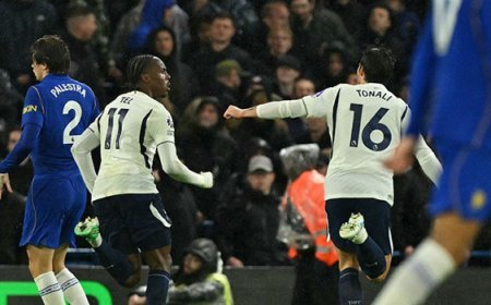 Chelsea 0-2 Tottenham (İngiltere Premier Lig)
